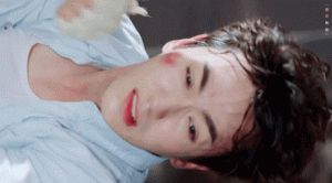 娱乐圈明星新动态 朱一龙鞠婧祎等五位明星最新消息