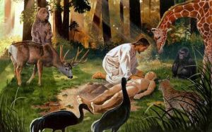 伊甸园一二三四地区 历史文化交汇的瑰宝