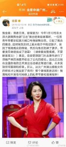 金星彩虹旗事件 舞台女王的艺术自由争议