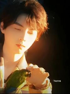 南大校草蒲熠星 高智商舞者，一站到底擂主