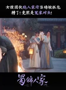 《蜀锦人家》 剧情老套，服化道不足，仅6分剧集