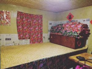 东北大炕虎子 家的温暖记忆