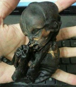 娱乐圈揭秘 明星养小鬼真相与尸油口红风波