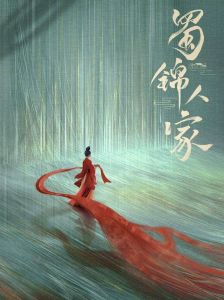 四川影视崛起 从蜀锦人家到川派精品剧制霸西部